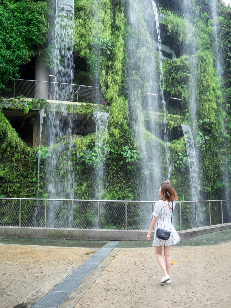 Singapore Diaries
